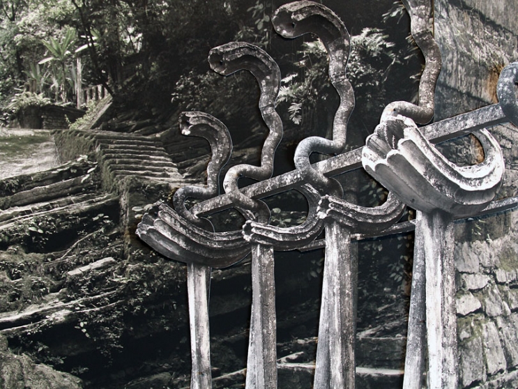 https://api.mirunadragan.com/files/gimgs/th-6_IMG_2470_Xilitla_W.jpg