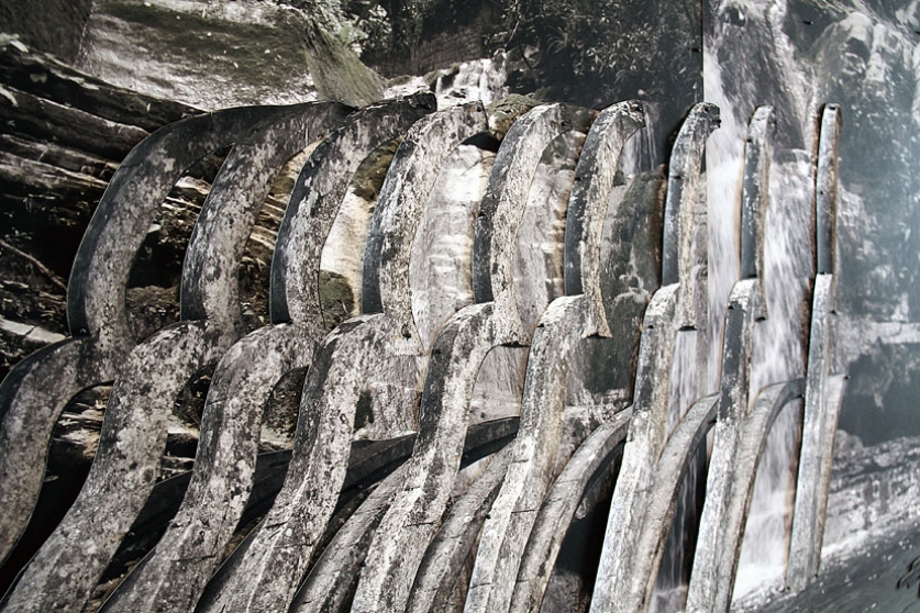 https://api.mirunadragan.com/files/gimgs/th-6_IMG_2473_Xilitla_W.jpg